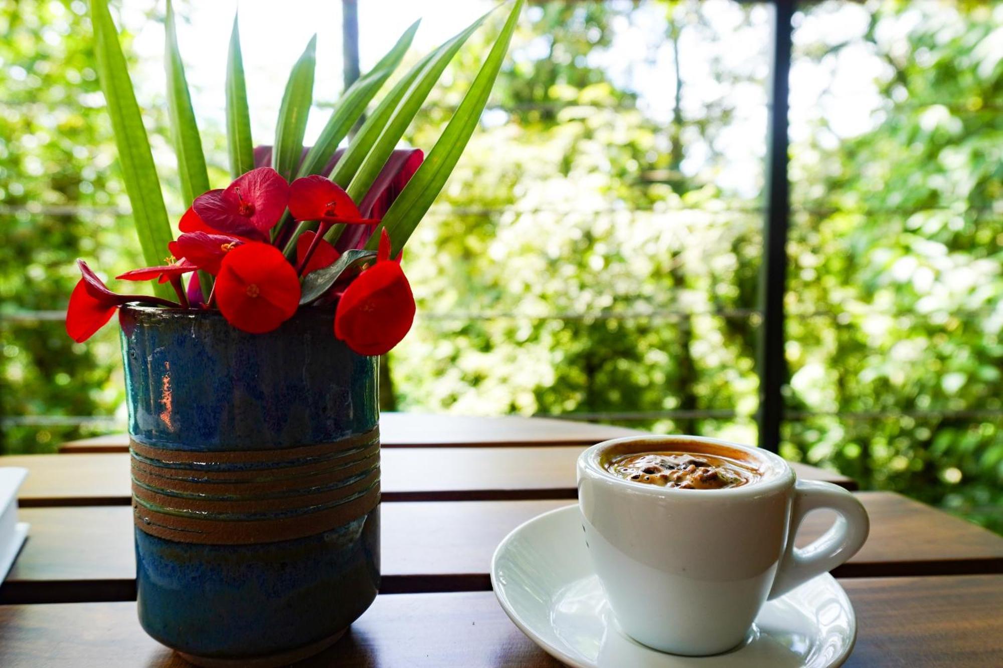 Sueno Rio Celeste Boutique B&B Бихагуа Экстерьер фото