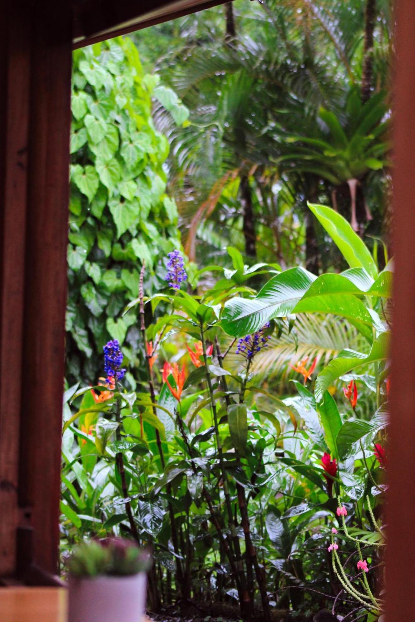 Sueno Rio Celeste Boutique B&B Бихагуа Экстерьер фото
